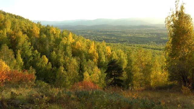 04-never knew (Золотая осень).mp4