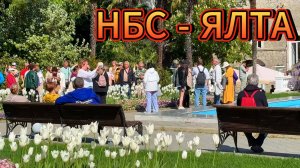 Крым НБС / Ароматы Ялты: Наедине с природой. В объятиях цветущей Ялты.Глициния .#топыкатегорий