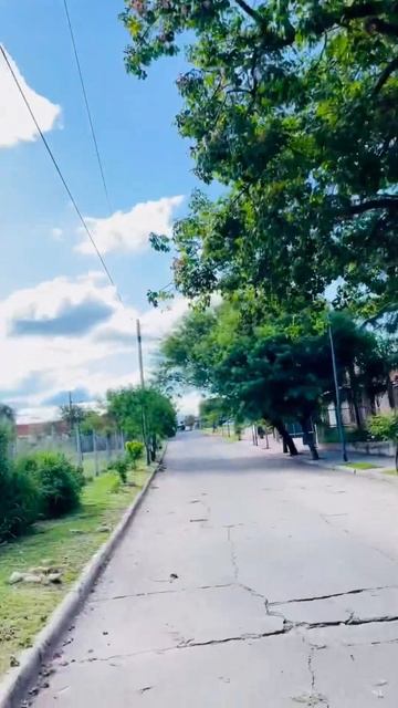 АРГЕНТИНА - ВСЕГДА КРАСИВО! Цветение весь год #аргенти?