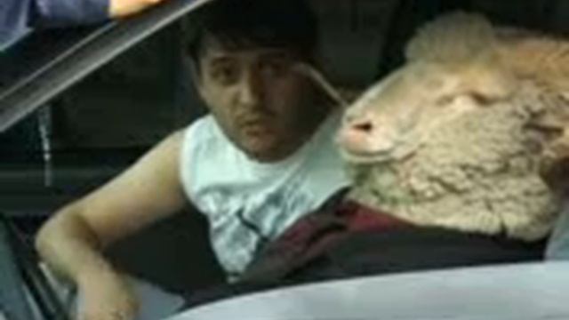 ДПС смотреть онлайн