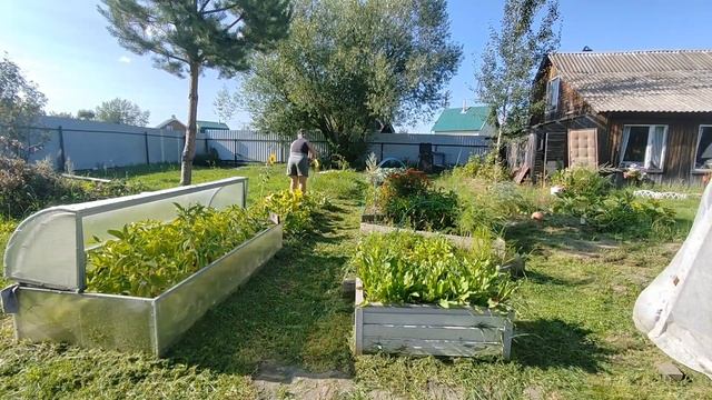 Дачный влог/про дом/ заготовки/огород#дача #купилидом #