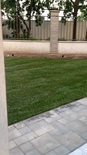 Рулонный газон и Автополив Одесса смотреть онлайн