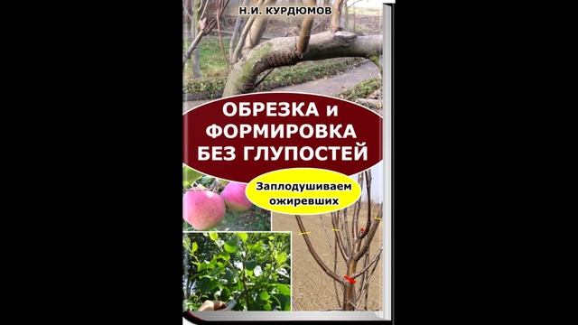 Николай Курдюмов. Цикл успешных практик "ОБРЕЗКА И ФО смотреть онлайн