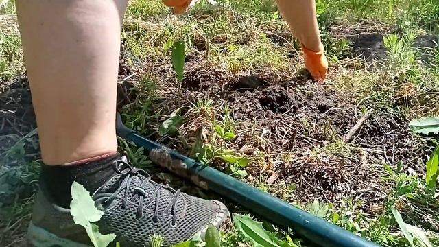 Простая деревенская жизнь - огород на целине, насекомы смотреть онлайн
