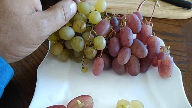 Виноград на 10 сентября смотреть онлайн