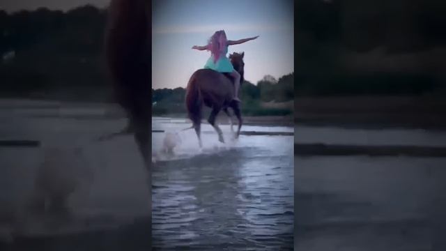 29.07.2024 г. наш Конный клуб ездил на Финский залив 🌊 смотреть онлайн