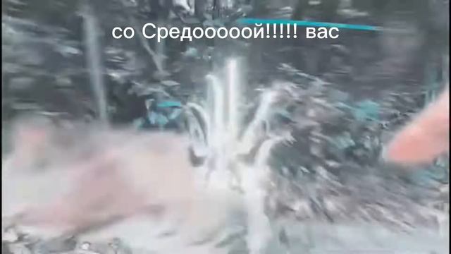 со средой вас! #мем #shorts #рофл #ютуб #я_в_сети #хаха #кот смотреть онлайн