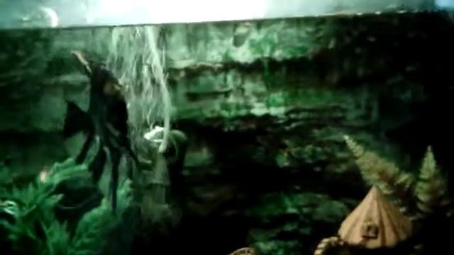 Приколы Денис и ильнар смотреть онлайн