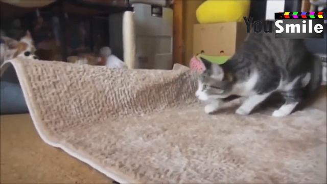 Приколы 2016 Лучшее за сентябрь Лучшие приколы #132, Новые приколы, Улетные приколы, Ржач смотреть онлайн