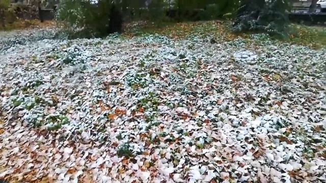 2 дня на получение справок, первый снег, быстрый ужин