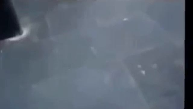 Приколы над голыми девушками и не только смотреть онлайн