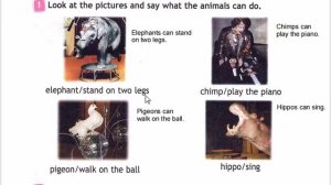 SPOTLIGHT 3 учебник 2 часть страница 76 (146)