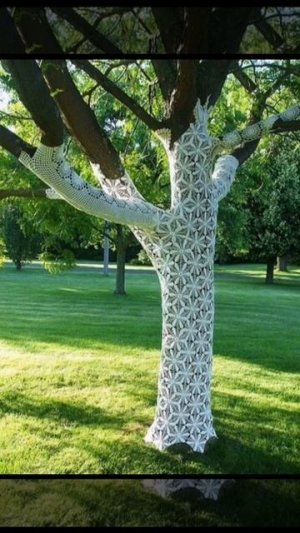 САД И ОГОРОД(5)