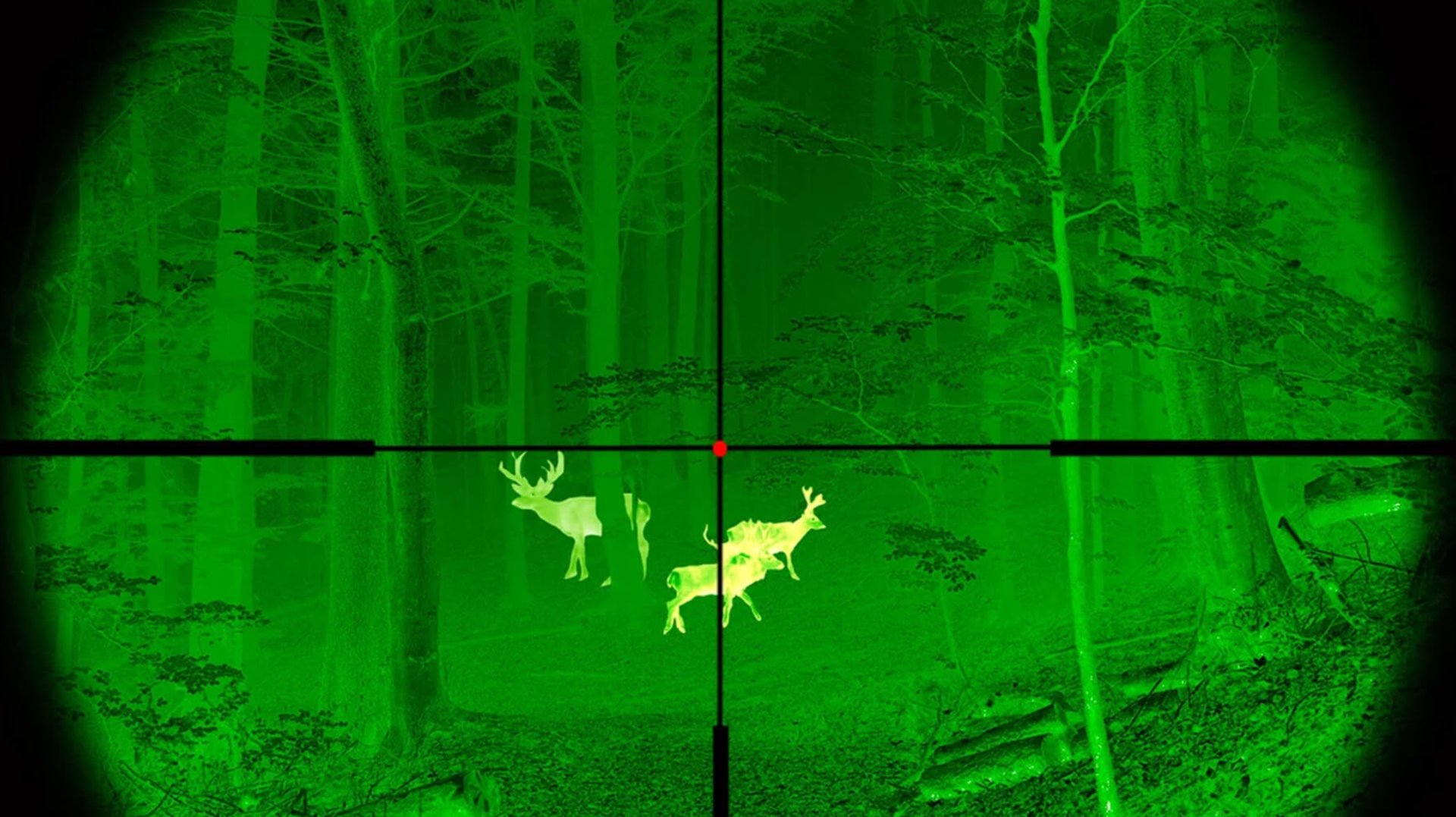 Краткий обзор бюджетного прицела ночного видения NV075-25-940