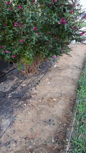 #shortvideo #shorts Yard Work /Landscaping Новый дизайн участка. смотреть онлайн