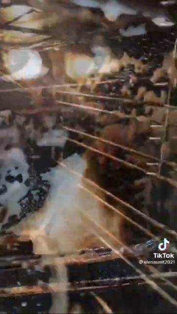 Средство для чистки духовки. смотреть онлайн