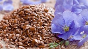 Կտավատ - Лён обыкновенный - Linum usitatissimum L.