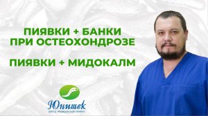 Пиявки и банки при остеохондрозе. Пиявки и мидокалм