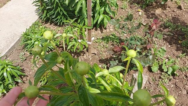 начало мая 2025