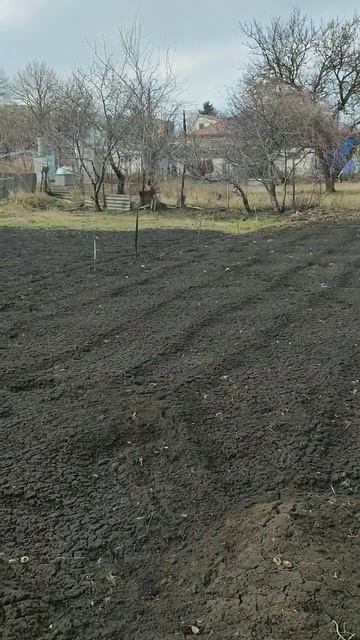 земля после фрезы превращается в бетон? участок пять л смотреть онлайн