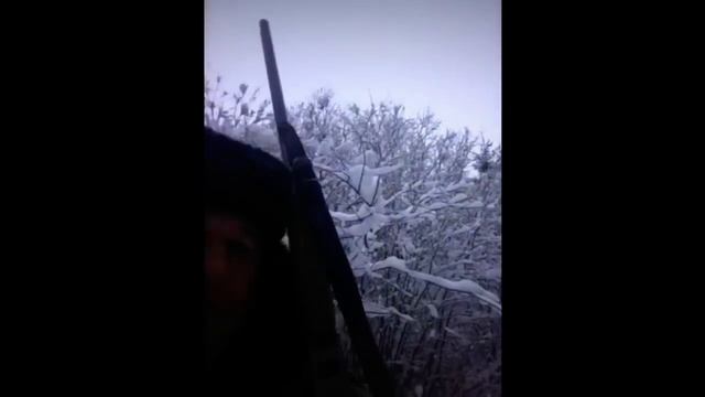 Охота на лося- обхохочешься! смотреть онлайн