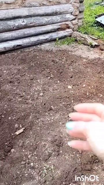 чудо грядки из старого ламината #юмор #дача #огородбез смотреть онлайн