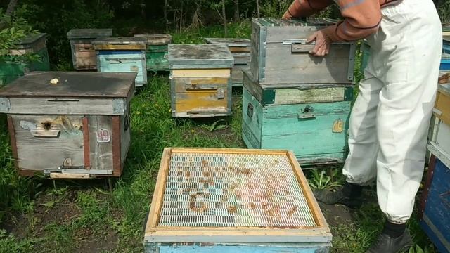 Вывод маток для ленивых. смотреть онлайн