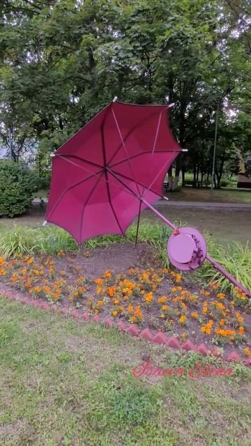 Клумба Зонтик. Балашиха. #Shorts