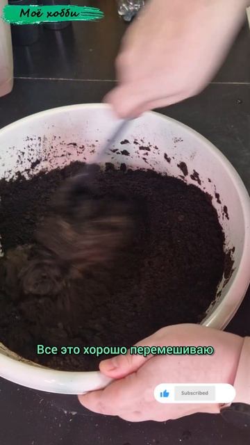 Подготовка грунта к перевалки Эустомы. #рассада #огоро смотреть онлайн