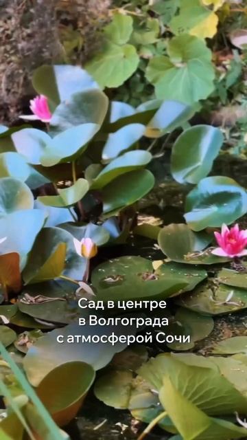 Были здесь? #лето #волгоград #тренды #тренд #топ #путеше? смотреть онлайн