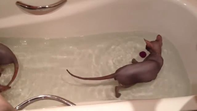 Лето, солнце, жара... смотреть онлайн