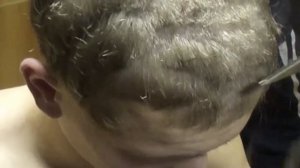 налысо бобрили