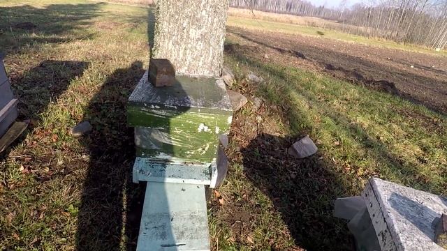 Последний облёт 2021 году.