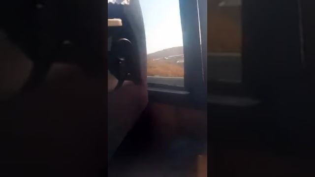 Мы в автобусе едим. В.   Океанариум