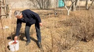 Применение биоудобрений для зимнего огорода