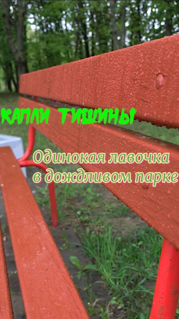 Капли тишины: Одинокая лавочка в дождливом парке смотреть онлайн