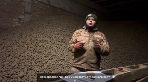 Характеристики сорта картофеля  инноватор