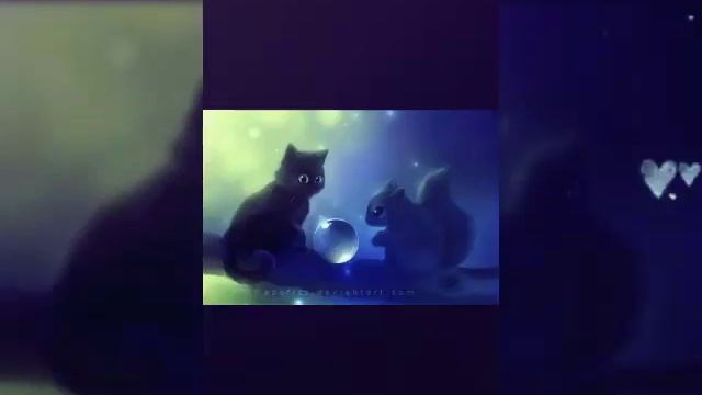 Прикольные котики и милые котики смотреть онлайн
