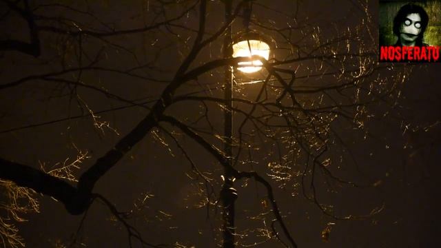 Без вести. Страшные истории на ночь🫣🫣🫣 смотреть онлайн