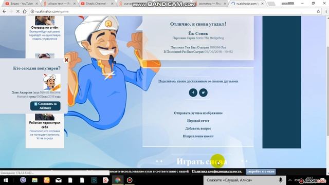 акинатор Соник Шедоу Силвер Салли