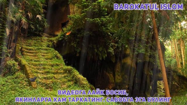 УШБУ КАВСАР СУРАСИНИ ХАР КУН УКИНГ СИЗГА ЯМОНЛИК ТИЛАГАН ОДАМНИ УЗИГА КАЙТАДИ.