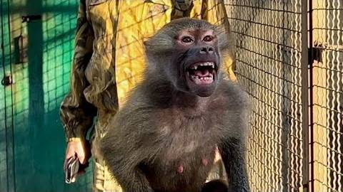 Люська ПРИШЛА к Елисею! Такой талантиливой актерской игры ВЫ ЕЩЕ НЕ ВИДЕЛИ! смотреть онлайн