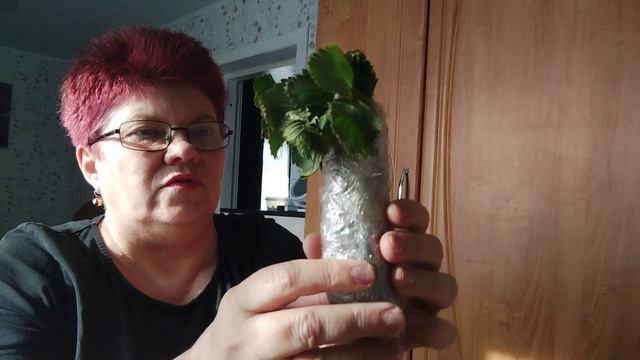 Гуляем с Ксюшей. Распаковка с wb. Домашние дела и заботы. смотреть онлайн