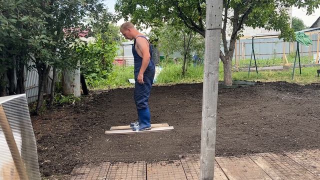 Посадили газон