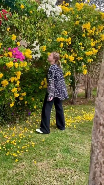 Как же красиво зимой в Шарм-эль-Шейхе! Египет зимой❤️ смотреть онлайн