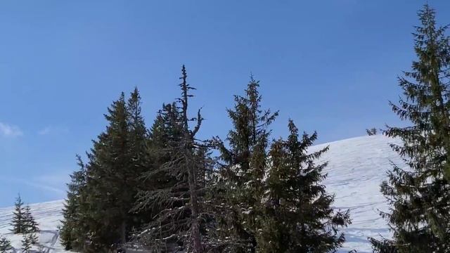 Драгобрат 2021 смотреть онлайн