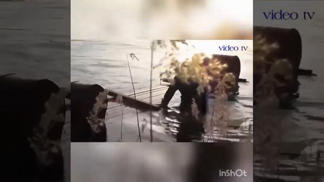 Улетные приколы про рыбалку