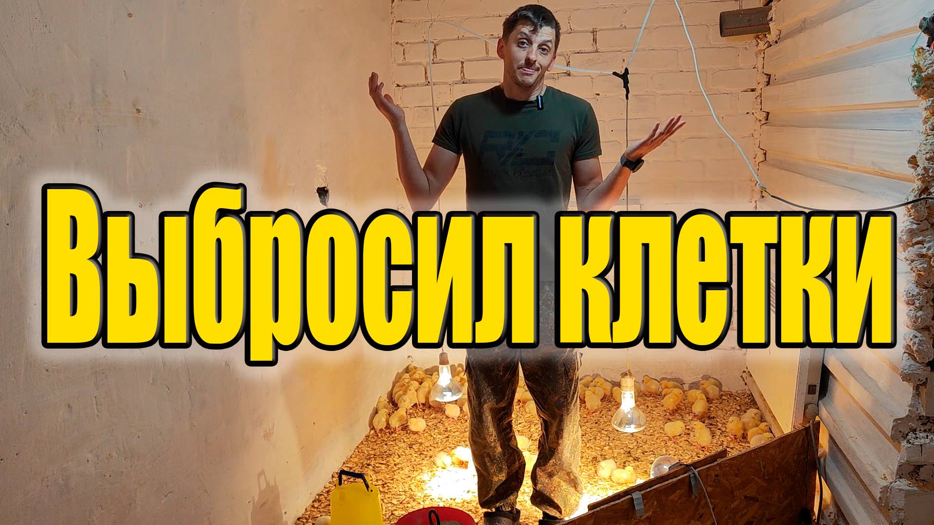 Напольное содержание бройлера. Вернулись к истокам. смотреть онлайн