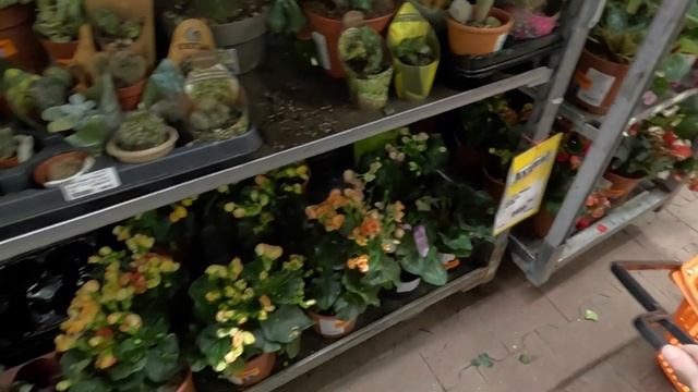 ОБЗОР МАГАЗИНА OBI. КАКИЕ ЦЕНЫ НА СЕМЕНА В ОБИ? ШОК смотреть онлайн