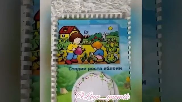 лэпбук Огород на подоконнике смотреть онлайн